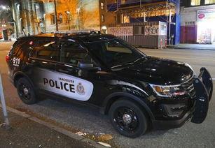 最新爆料车型有哪些车,十大热门新车型盘点