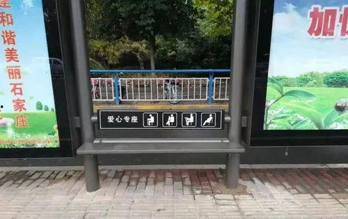 sjz最新爆料,揭秘事件背后惊人真相