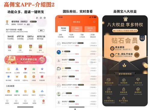 抖音最新爆料入口,揭秘神秘功能，带你探索抖音新玩法！