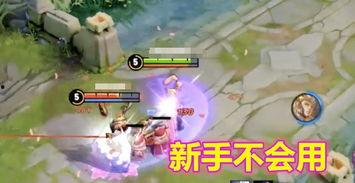 孙行者返场最新爆料,揭秘最新爆料背后的精彩剧情