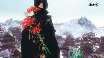 逆水寒白泽最新爆料背饰,神秘背饰引玩家热议，揭秘江湖传奇背后的秘密