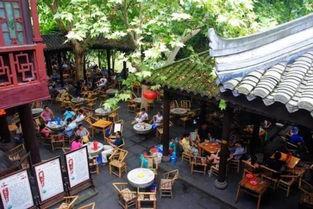 成都茶馆爆料最新,最新茶事风云，一网打尽茶界新鲜事